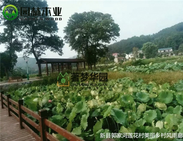 河南黄色网站老司机風雨廊